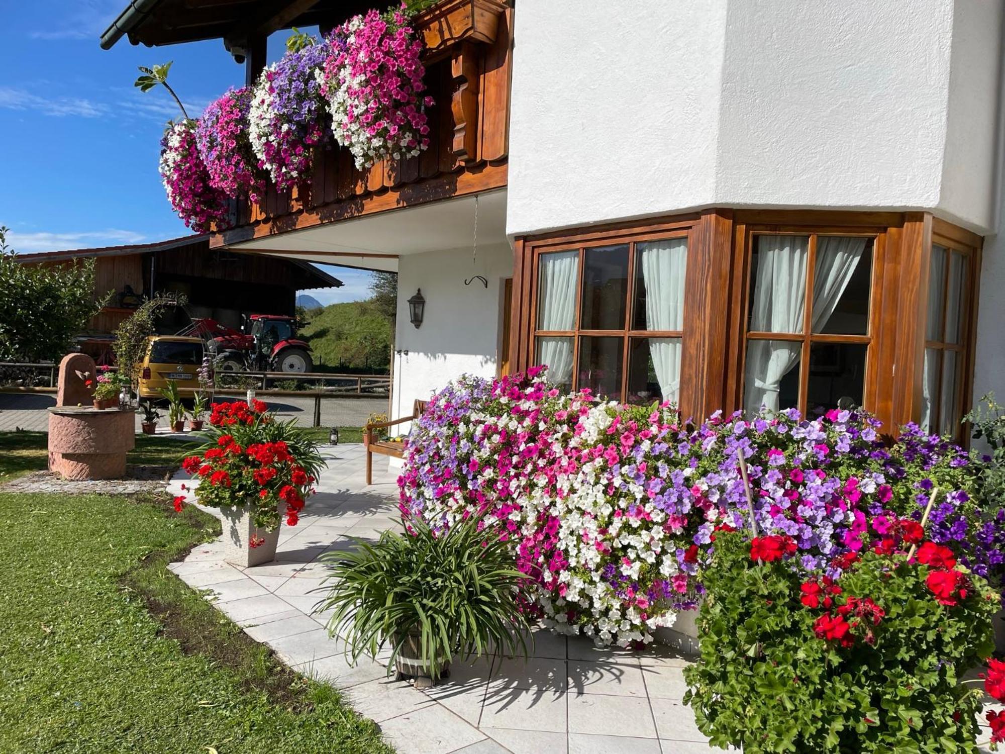 Hotel Gaestehaus Seeklause Schwangau Exterior foto